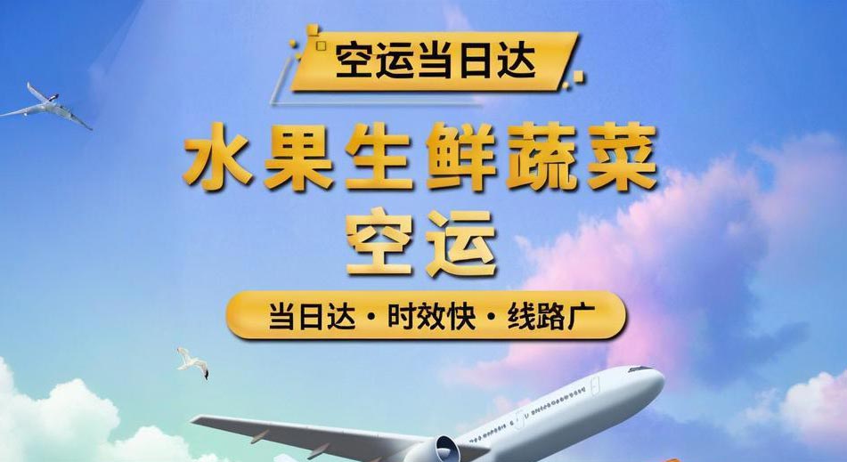 航空货运的常见类型和种类