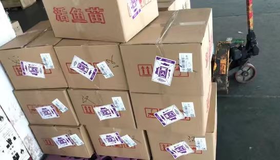 繁忙的机场货运区