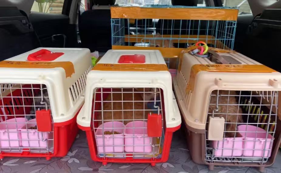 决胜于千里之外