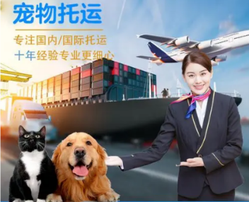 哈密机场货站提货区